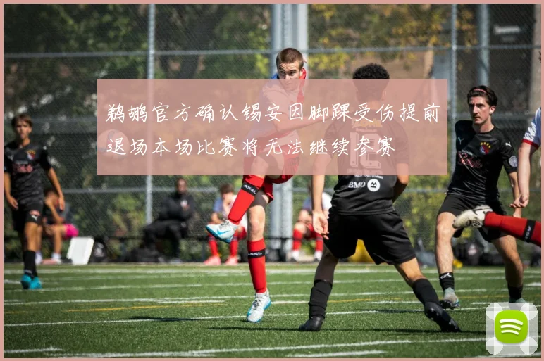 鹈鹕官方确认锡安因脚踝受伤提前退场本场比赛将无法继续参赛